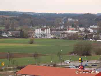 Stadtrandstraße und Bahnübergang: Bremst der Laubfrosch den Bau im Osten von Giengen aus? - Heidenheimer Zeitung