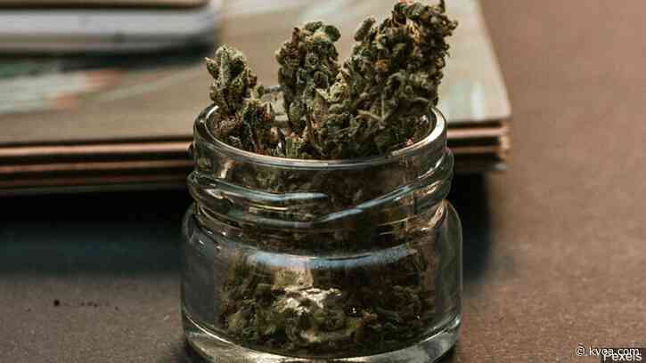 Arizona approves recreational marijuana license to four dispensaries in Pima County