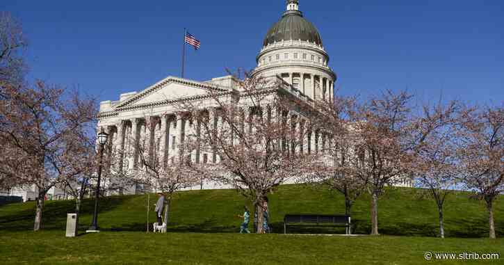 Gigi Brandt: Utah citizens encouraged to apply for Redistricting Commission appointments