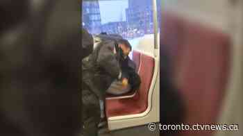 TTC fires special constables involved in violent streetcar incident last February