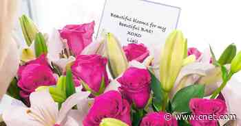 Don't procrastinate: Save 25% on Valentine's Day flowers     - CNET