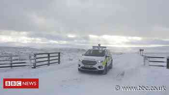 Covid-19: Gateshead families fined for barbecue lockdown breach - BBC News
