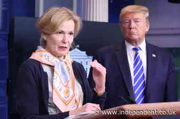 Deborah Birx thought about quitting Trump’s Covid team: ‘Why would you put yourself through that?’