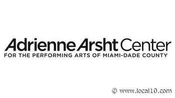 Paid program introduces young minorities to the arts - WPLG Local 10