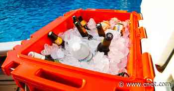 Best coolers of 2021: Cabela, Igloo, Yeti, Coleman and more     - CNET