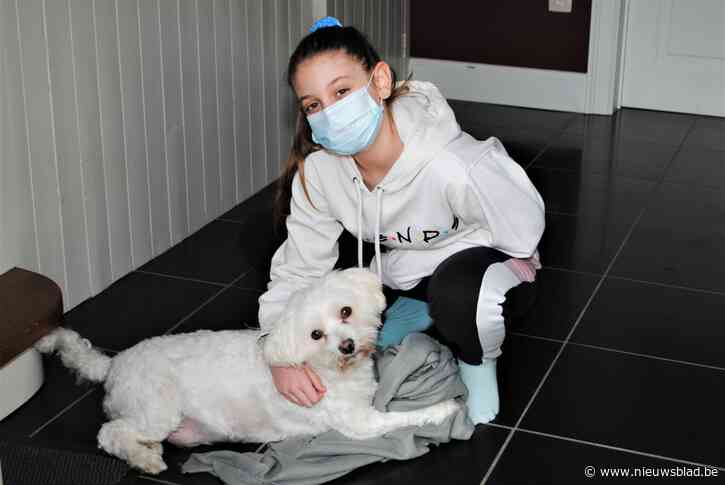 Geetbets in de top-3 van de meest besmette gemeenten van Vlaanderen