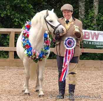 Beloved pony dies after 'being fed potato' by stranger in field