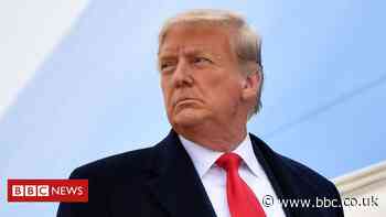 Trump impeachment: Senate trial delayed until next month
