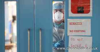 Worst day of deaths could be 'in future' and Covid-19 will be here 'forever'