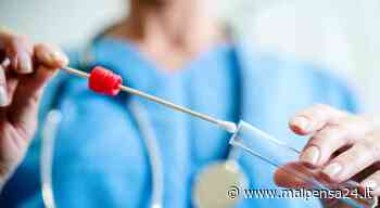 Next Fratellini di Samarate positivi al Covid, a Gallarate due classi in quarantena - malpensa24.it