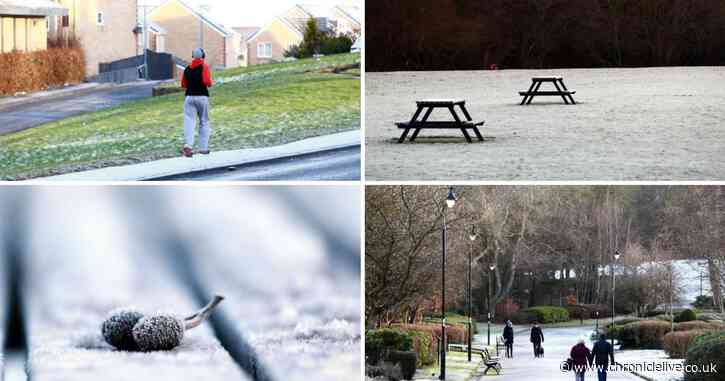 In pictures: North East a winter wonderland as temperatures drop below freezing
