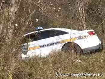 Naked Florida man arrested after stealing marked police vehicle and crashing it