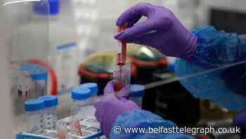 Twelve further deaths with Covid in Northern Ireland