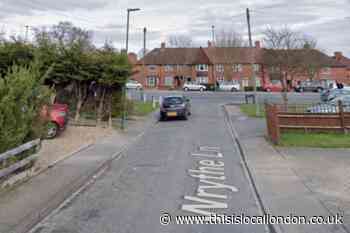 Police called to males fighting with baseball bats in Sutton