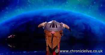 Masked Singer's Viking blows identity 'wide open' after shock move