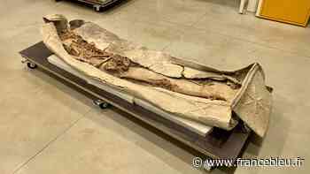 Le sarcophage mis au jour à Arras révèle une partie de ses secrets - France Bleu