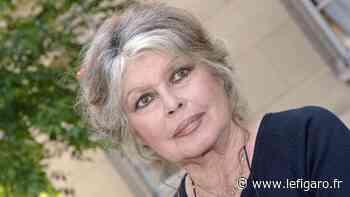 Brigitte Bardot renvoyée devant le tribunal d'Arras après avoir flingué les chasseurs - Le Figaro