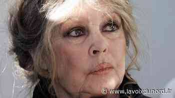 Brigitte Bardot poursuivie au tribunal d'Arras pour injures envers les chasseurs et leur président Willy Schraen - La Voix du Nord