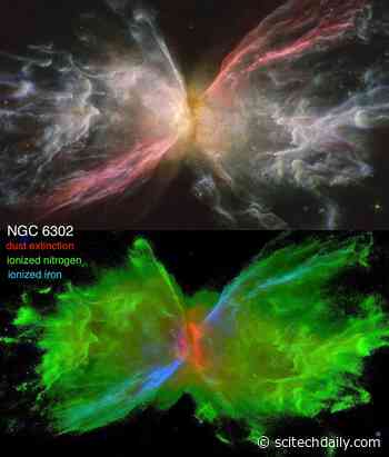 Dissecting the Anatomy of Planetary Nebulae Using the Hubble Space Telescope