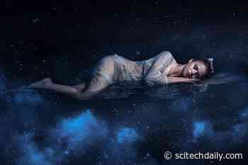 Magnetic Resonance Imaging Helps Unravel the Mysteries of Sleep