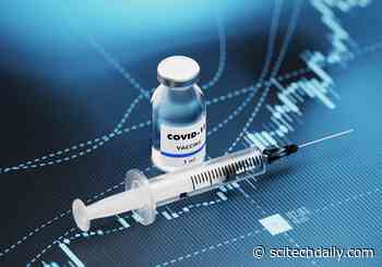 New Results From Monkeys Infected With SARS-CoV-2 Suggest COVID-19 Vaccines Will Be Successful