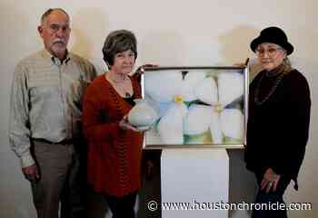 Archway Gallery partners with Houston Arboretum to present Regeneration - Houston Chronicle