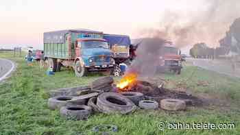 La protesta de camioneros autoconvocados se replica en Tres Arroyos y Coronel Pringles - Telefe Bahia Blanca
