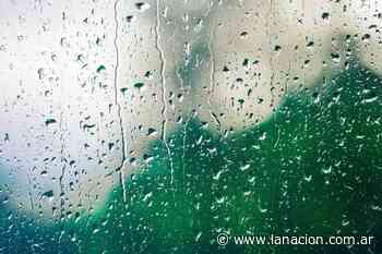 Clima en Coronel Pringles: cuál es el pronóstico del tiempo para el domingo 24 de enero - LA NACION
