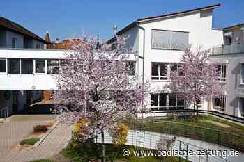 Mühlehof in Steinen sollte seine Krisenkommunikation überdenken - Kommentare - Badische Zeitung