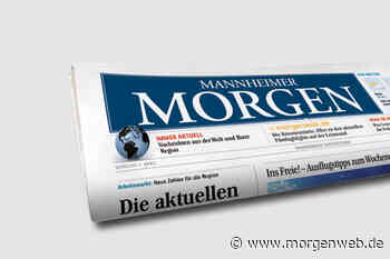 Palette mit Steinen kippt auf Frau - Südhessen Morgen - Mannheimer Morgen