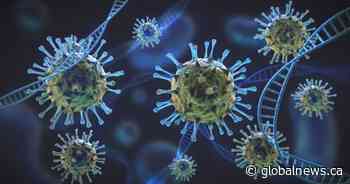 Saskatchewan adds 3 more deaths due to coronavirus and 274 new cases - Globalnews.ca