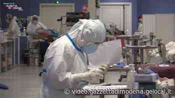 Covid a Modena, parlano gli infermieri degli ospedali: 'Non chiamateci eroi' - Gazzetta di Modena