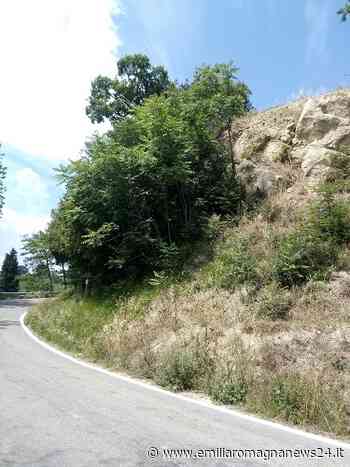 Provincia di Modena: Marano sul Panaro, senso unico alternato su SP21 - Emilia Romagna News 24