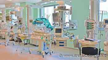 Bambino morto 12 giorni dopo il parto a Modena: la denuncia dei genitori - il Resto del Carlino