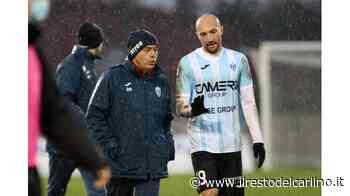 Il Modena prende ancora tempo per Luppi - Il Resto del Carlino