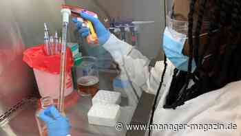 Corona-Heilmittel: Deutschland bekommt Antikörper-Cocktails gegen Covid-19