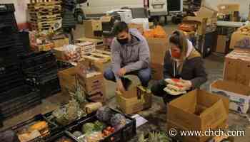 A London, Ontario entrepreneur is helping to reduce the amount of food wasted in the province - CHCH News