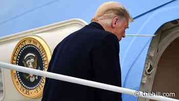 Trump pressed DOJ to go to Supreme Court in bid to overturn election: report