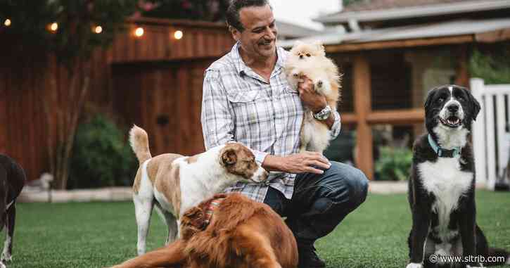 Scott D. Pierce: This Utahn on ‘To the Rescue’ is dogs’ best friend
