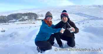 The Northumberland beer which protects endangered water voles