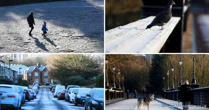 North East carpeted by frost as temperatures drop during third lockdown weekend