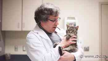 Too many new pet owners, not enough vets make getting animal care a problem