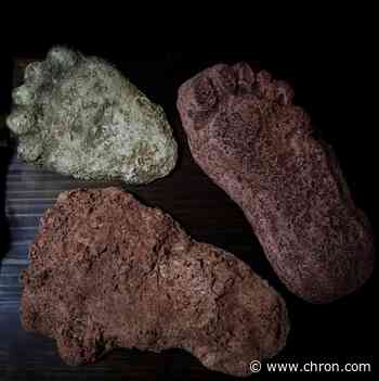 Bigfoot hunters are going to love this Oklahoma bill