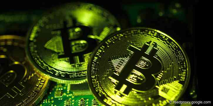 Bitcoin whales: what are they - and how are they affecting the cryptocurrency's price?
