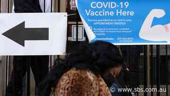 The Trump administration had no distribution plan for the coronavirus vaccine, White House says - SBS News