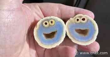 Rock formation that looks like Cookie Monster could fetch $10,000     - CNET