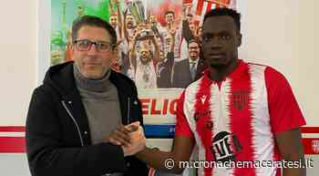 Colpo Matelica: preso Malick Mbaye All'Helvia Recina arriva la Triestina - Cronache Maceratesi