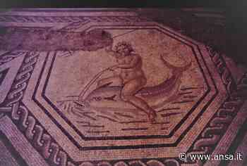 Finora 28mila euro per i mosaici di Matelica romana - ViaggiArt - Agenzia ANSA