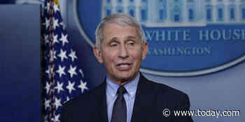 Fauci at his first Biden briefing: I took ‘no pleasure’ in contradicting Trump on COVID-19