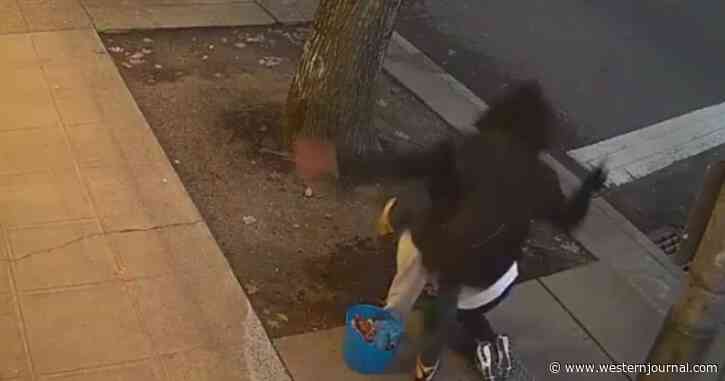 Woman Planting Flowers Jumped by Punk, Vicious Attack Left Her with 10 Facial Fractures